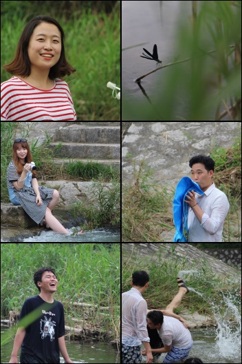 1110.jpg> <!--