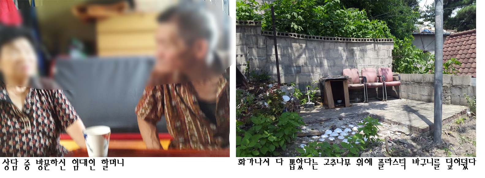 1817.jpg> <!--