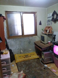 384.jpg> <!--