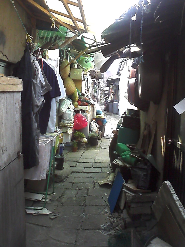 398.jpg> <!--