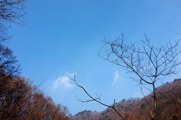 518.jpg> <!--