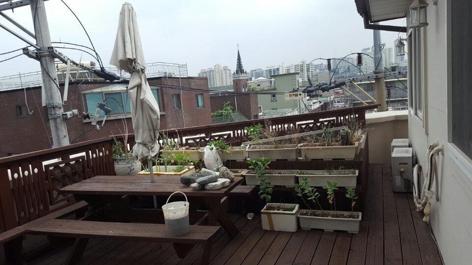 819.jpg> <!--
