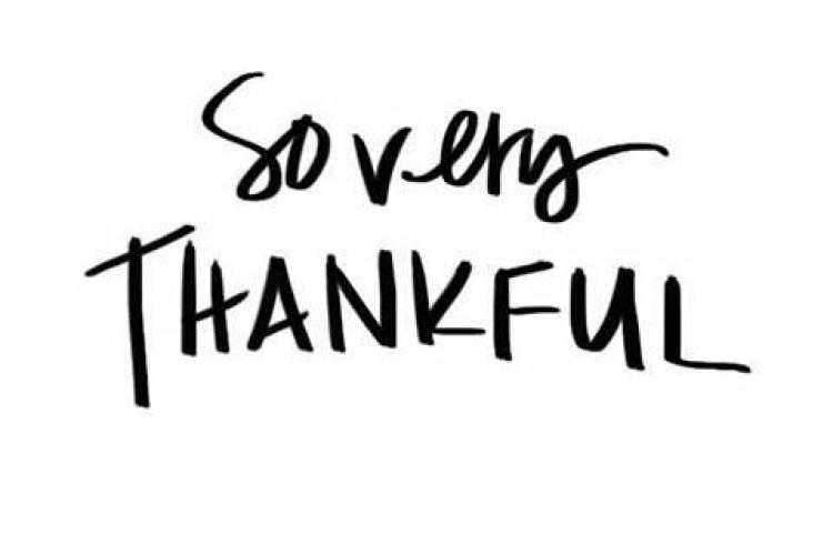 7thankyou.jpg
