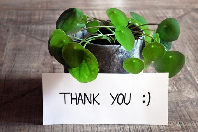 thank-you-3690116_640.jpg